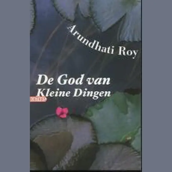 A. Roy De God Van Kleine Dingen / Pockethuis thumbnail