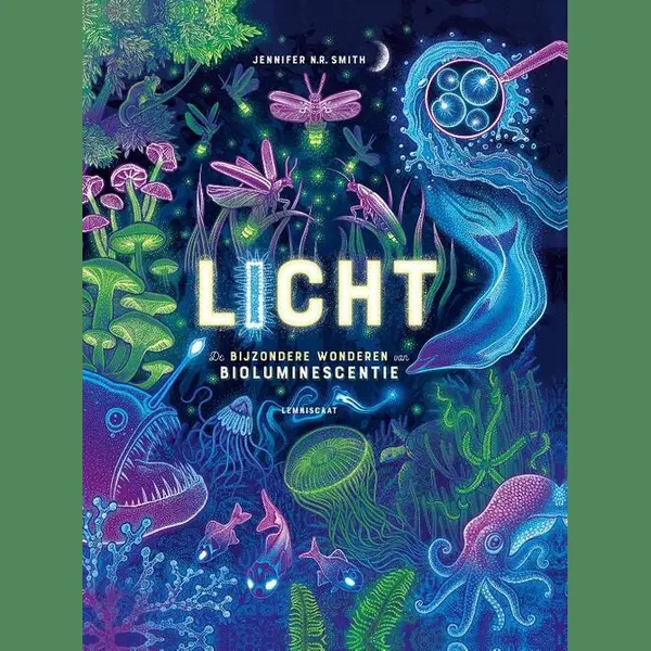 Licht thumbnail