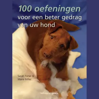 100 Oefeningen Voor Een Beter Gedrag Van Uw Hond