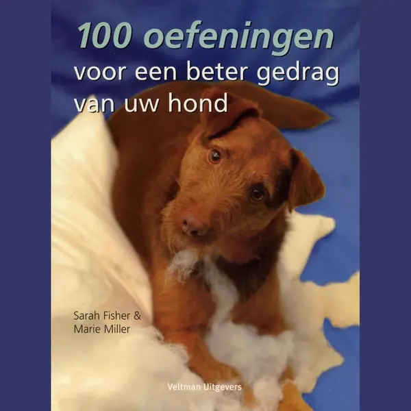 100 Oefeningen Voor Een Beter Gedrag Van Uw Hond thumbnail
