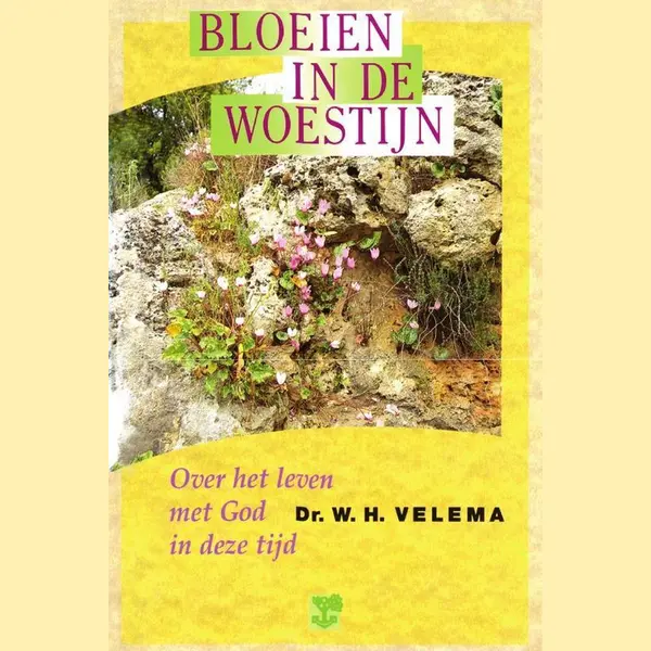 Bloeien In De Woestijn thumbnail