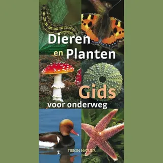 Wilhelm Eisenreich De Dieren En Plantengids Voor Onderweg