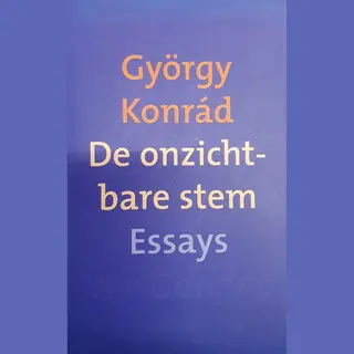 De Onzichtbare Stem
