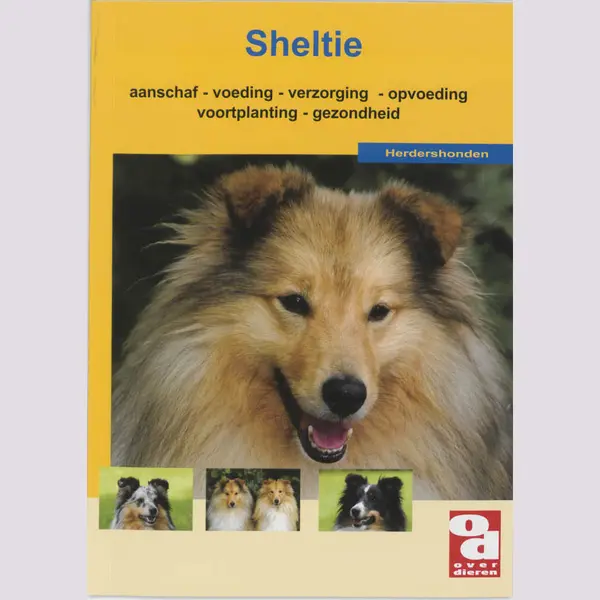 Sheltie / Over Dieren thumbnail