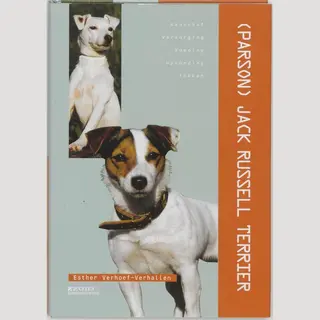 Jack Russel Terrier