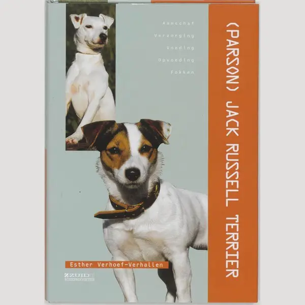 Jack Russel Terrier thumbnail