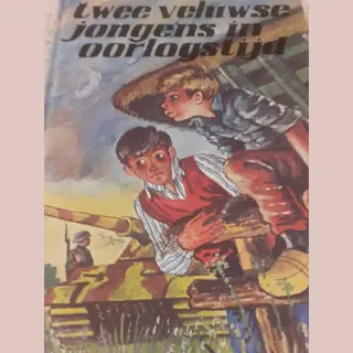 Twee Veluwse Jongens In Oorlogstyd