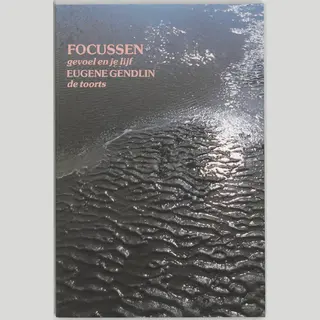 E. Gendlin Focussen