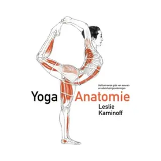 Yoga-anatomie
