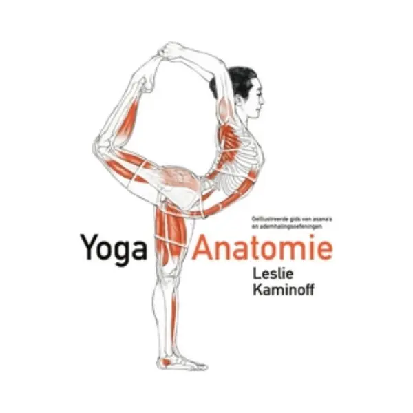 Yoga-anatomie thumbnail