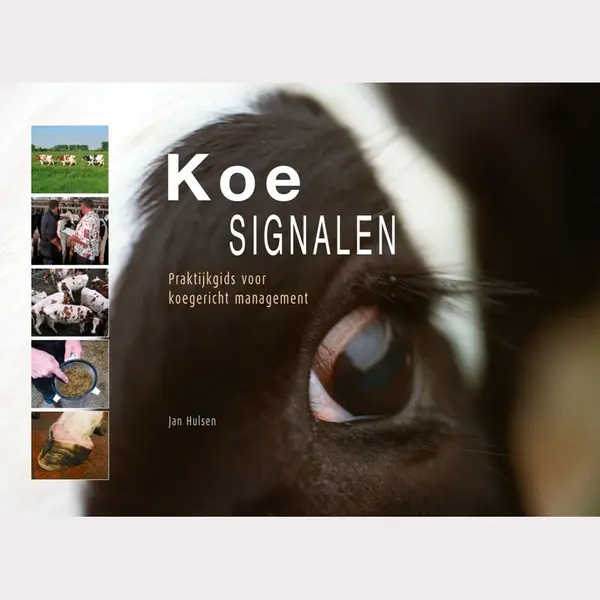 Jan Hulsen Koesignalen / Koesignalen thumbnail