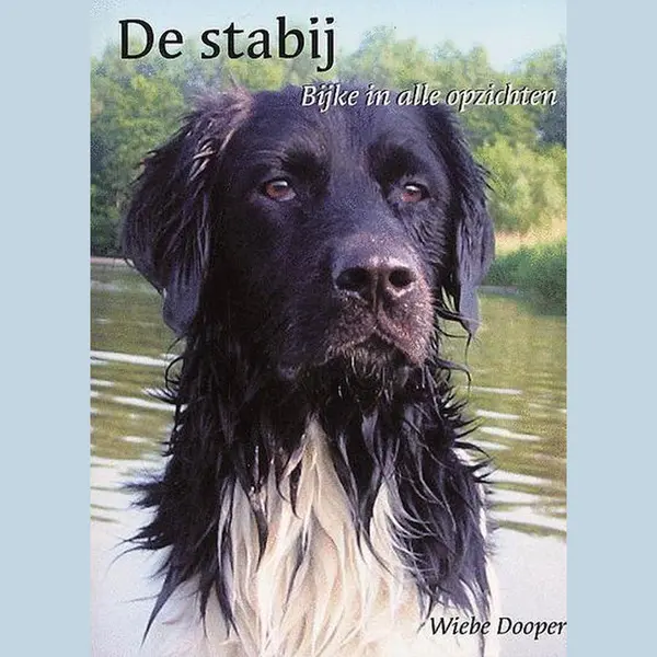 De Stabij, Bijke In Alle Opzichten thumbnail