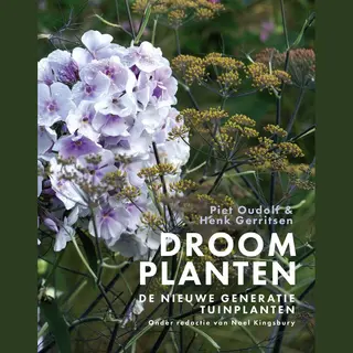 Droomplanten