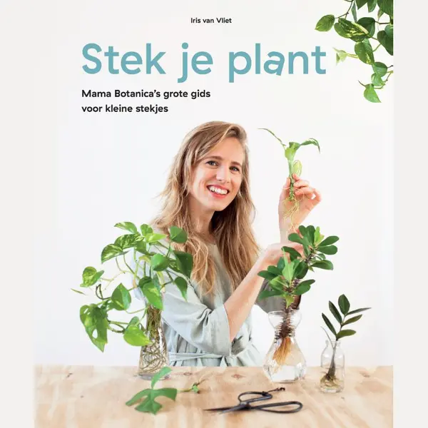 Stek Je Plant thumbnail
