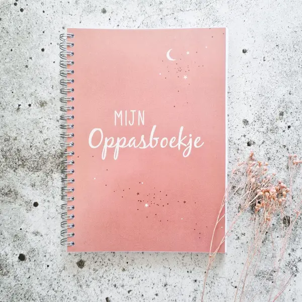 Fien & Feau Oppasboekje | Invulboek | Wire-o | Heelal Roze | Heen- En Weer Boekje thumbnail