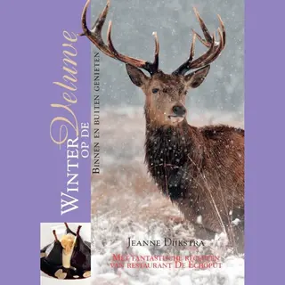 Winter Op De Veluwe