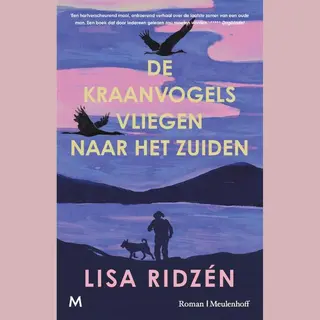 De Kraanvogels Vliegen Naar Het Zuiden