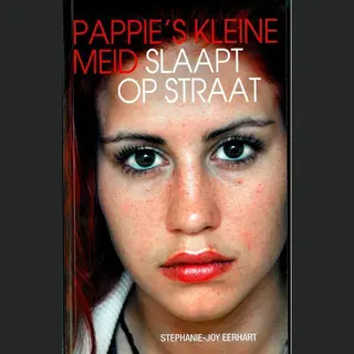 Stephanie-Joy Eerhart Pappies Kleine Meid Slaapt Op Straat