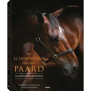 De Schoonheid Van Het Paard