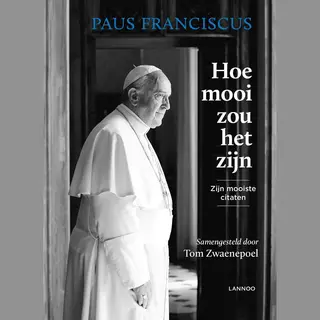 Tom Zwaenepoel Hoe Mooi Zou Het Zijn