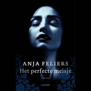 Het Perfecte Meisje
