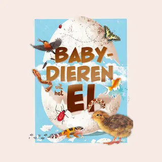 Babydieren Uit Het Ei
