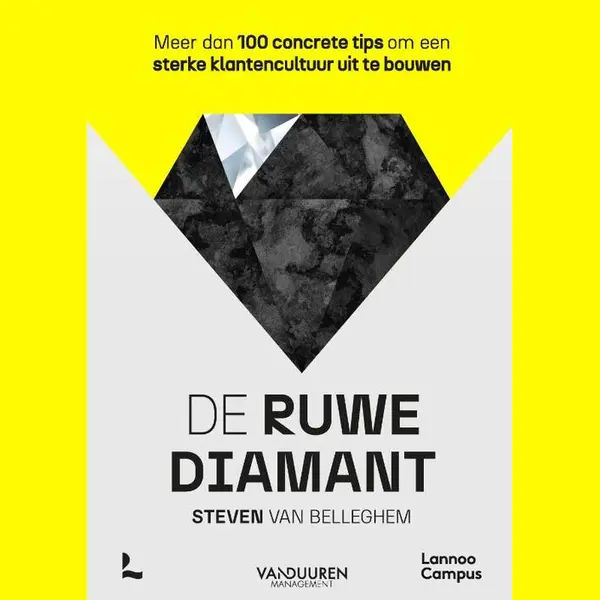 Steven van Belleghem De Ruwe Diamant thumbnail