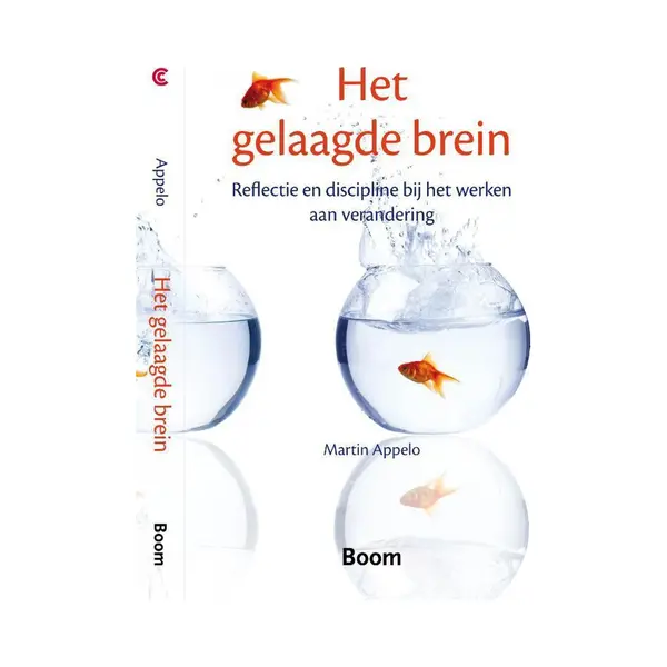 Het Gelaagde Brein thumbnail