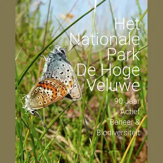 Het Nationale Park De Hoge Veluwe