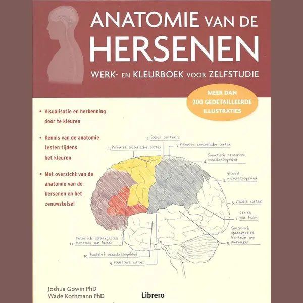 Joshua Dr. Gowin Anatomie Van De Hersenen thumbnail