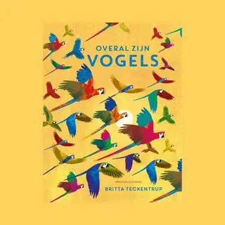 Overal Zijn Vogels