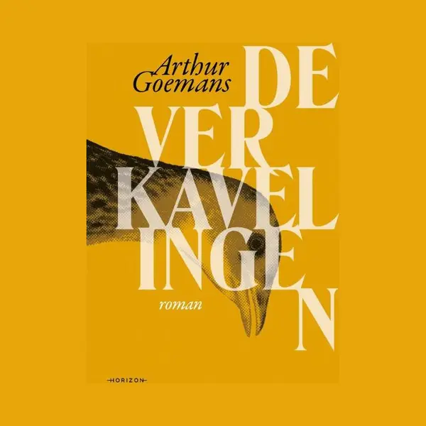 Arthur Goemans De Verkavelingen thumbnail