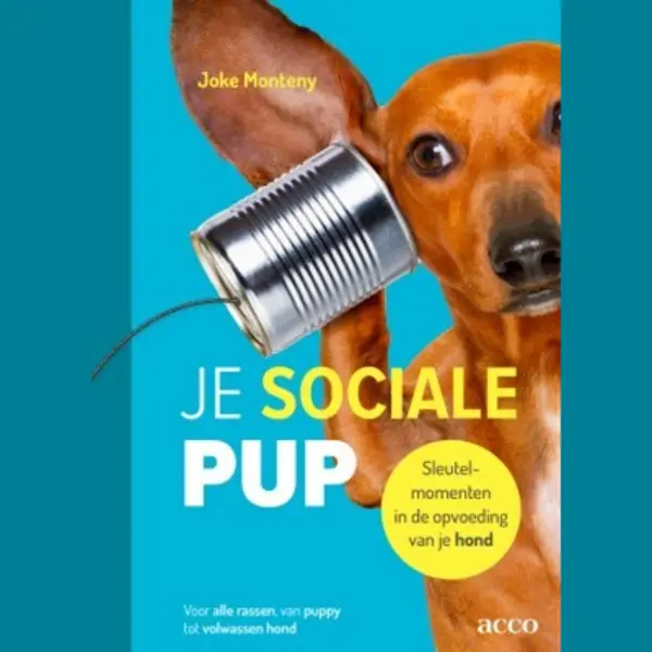 Je Sociale Pup thumbnail
