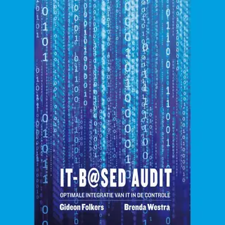 It-based Audit