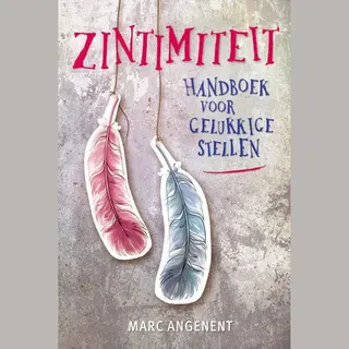 Zintimiteit