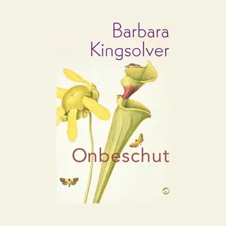 Onbeschut