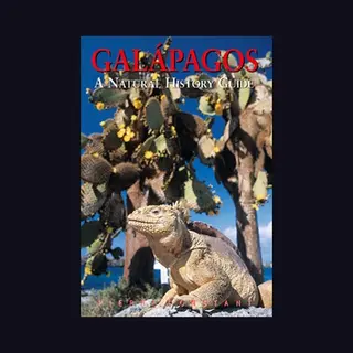 Pierre Constant Galapagos