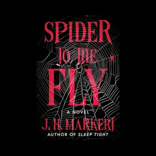 Spider To The Fly