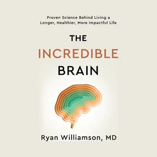 The Incredible Brain
