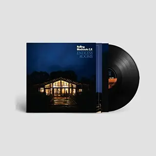 Universal Music Group Endless Rooms [Vinyl]