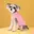 Roze