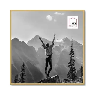 Haes Deco Bilderrahmen/Wandrahmen/Fotohalterung Aus Kunststoff, Easy Frame, Goldfarben, 50 X 50 Cm – EF18G