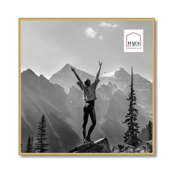Haes Deco Bilderrahmen/Wandrahmen/Fotohalterung Aus Kunststoff, Easy Frame, Goldfarben, 50 X 50 Cm – EF18G thumbnail
