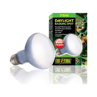 Exo Terra PT2132 Reptilien-Heizlampe 75 W 1 Stück(e)