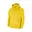 Geel