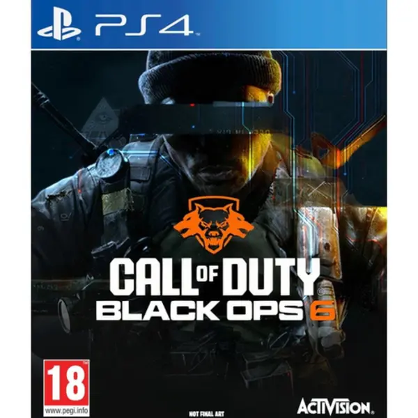 Activision Call of Duty: Black Ops 6 Standaard Duits, Engels, Spaans, Frans, Italiaans, Pools, Russisch PlayStation 4 thumbnail
