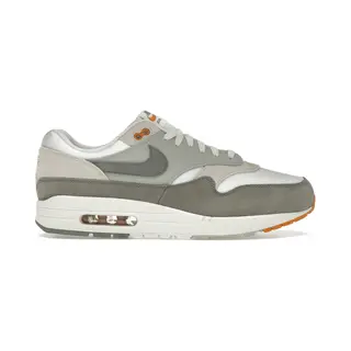 Nike Air Max 1 Light Iron Ore Flat Pewter Sneaker Freizeitschuhe IB1492-121 42 Graue