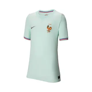 Nike Dri-Fit Football Replica Shirt - Green