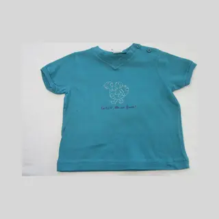 Petit Bateau , Jongens, T-shirt Korte Mouw , Turquoise , Badeend , 74 - 12 Maand