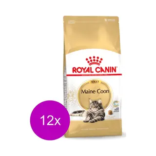 Royal Canin Maine Coon Adult - Kattenvoer - 12 X 400 G